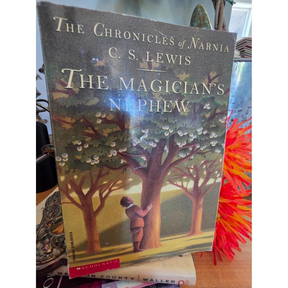 VTG 1995 The Magician's Nephew Narnia Scholastic Paperback Chris Van Allsburg